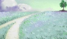 润燥防疾病，秋分喝什么茶最合适