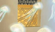 东瀛有风来：日本二十四节气风物介绍