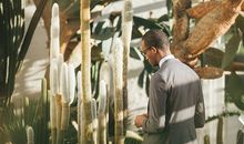 属狗的人适合做什么生意