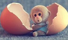 生肖猴改善人缘的方法