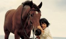 生肖马改善人缘的方法