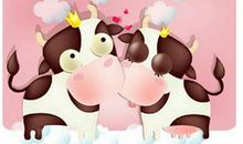 生肖牛的爱情诊断书