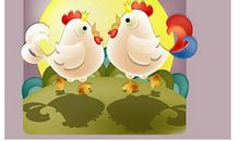 生肖鸡的爱情诊断书