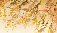 2020年11月5日世界海啸日是什么意思 分类是什么