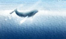 阿克人:西双版纳最原始的民族