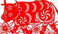 生肖牛改善人缘的方法