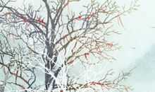 每年8月8日是什么日子 全民健身日