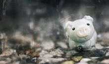 生肖猪改善人缘的方法