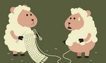 生肖羊改善人缘的方法