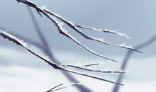 2019年霜降时间是什么时候 如何养生