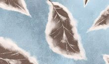 霜降的气候特征有哪些