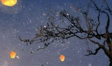 2020年腊月二十是几月几号 2月1日日子好不好 吉时查询