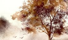 2021年正月初六是几月几号 2月17日今日吉时查询