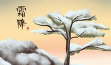 2020霜降节气是秋季还是冬季 吃柿子的原因