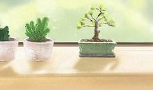 解析白羊座的压力、减压星座