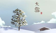 2020年大雪的时间是农历几月几日 庚子年十月廿三