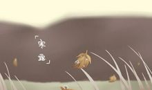 寒露三候菊有黄华是什么意思 菊花怒放