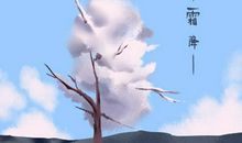 2020年霜降节气花信是什么 曼珠沙华