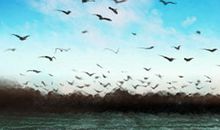 吃货看了完全忍不住！感恩节的三大特色食物