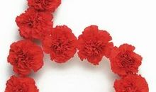 各命运数适合什么职业