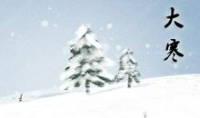 2020年大寒节气花信是什么 小苍兰