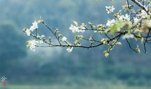 春分节气，春分节气的注意事项