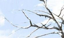 2020年节气冬至寓意表示什么意思 冬至团是什么