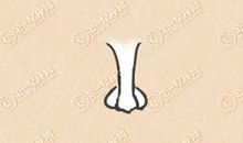 狮子鼻女人面相 女人狮子鼻好不好