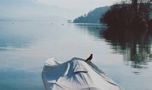 保加利亚嘉珊今日运势2018年1月24日