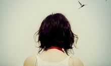 海百合今日运势2018年1月24日