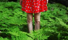 苏珊米勒今日运势2018年1月25日