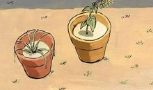 金牛座今日运势2017年12月16日