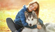 双子座养狗之后