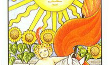 12星座2012年1月运势 塔罗哈比熊