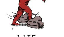 2012年2月星座运势 拾杯水