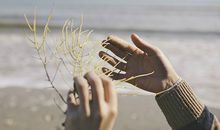 唐立淇每日运势2017年11月24日