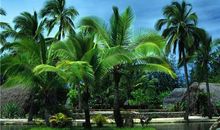 YAO叔:今日运势2018年5月23日