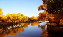 农历九月生肖运势冠军榜