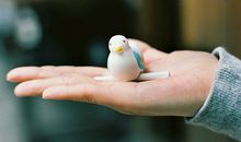 闹闹女巫店每日运势2017年11月13日