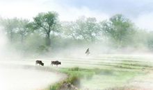 十二生肖一周运势2013年2月25日—2013年3月3日