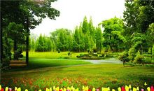 海百合:今日运势2018年5月23日