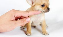 诡魅塔罗:今日运势2018年6月20日