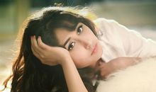 郑博士2020年10月6日生肖运势