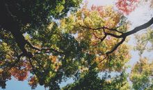 苏珊米勒今日运势2018年3月21日