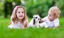 2020年摩羯座运势