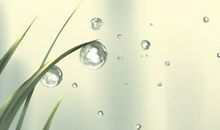 颇具代表性！紫微十四主星代表人物