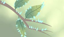基础入门：紫微斗数安星诀解释