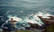 闹闹女巫店今日运势2018年2月2日