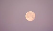 闹闹女巫店今日运势2018年1月20日