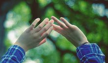 猫石对话每日运势2017年11月17日